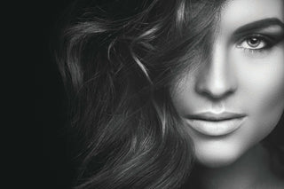 Les prestations du regard