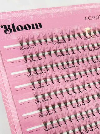 Bloom - Pre-Made Fans - Eyelash Extension